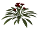 Цветы в PNG